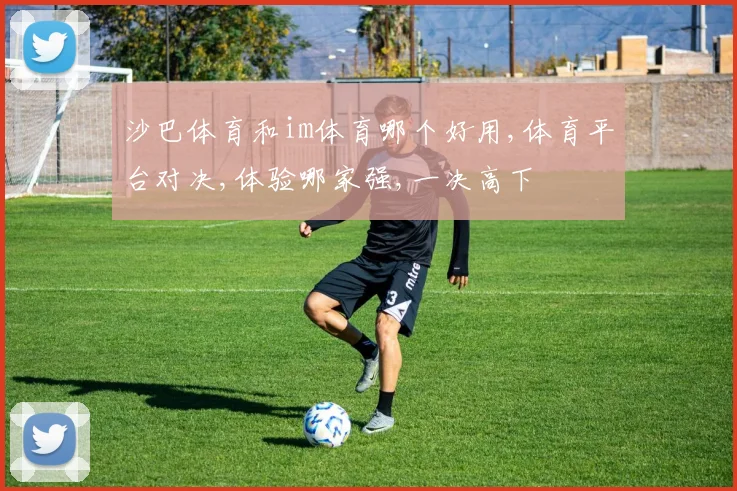 沙巴体育和im体育哪个好用,体育平台对决,体验哪家强,一决高下